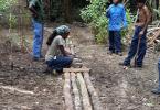 Building wooden bridges