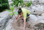 SRC Tree Planting 