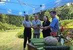 Orchids Handing over