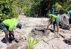 Youth Offenders Tree Planting