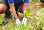 SPGA planting a seedling