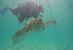 Diver placing the structure on the sea bed
