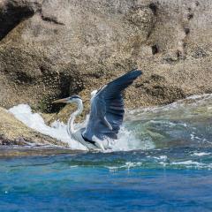 st_anne-272.jpg St Anne Marine Park