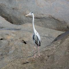st_anne-274.jpg St Anne Marine Park