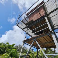 20220204_111253.jpeg Praslin National Park