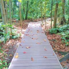 Veuve Special Reserve