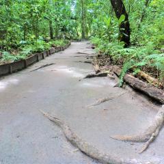 Veuve Special Reserve