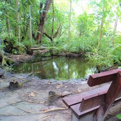 Veuve Special Reserve