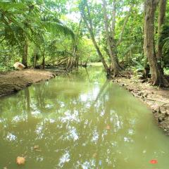 Veuve Special Reserve