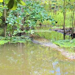 Veuve Special Reserve