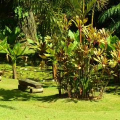 Header Photo Bot 2021 (448).jpeg The Botanical Garden