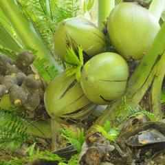 Photo Bot 2021 (126).jpeg The Botanical Garden