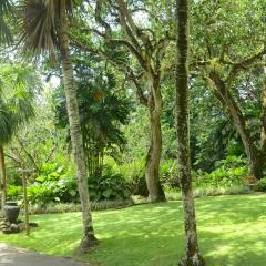 Photo Bot 2021 (138).jpeg The Botanical Garden