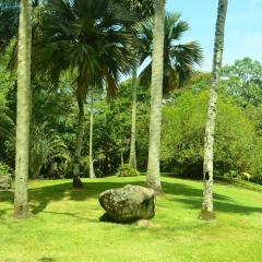 Photo Bot 2021 (276).jpeg The Botanical Garden