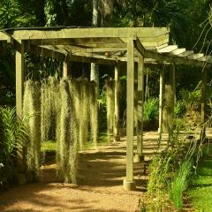 Photo Bot 2021 (3).jpeg The Botanical Garden