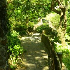 Photo Bot 2021 (485).jpeg The Botanical Garden