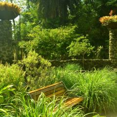 Photo Bot 2021 (6).jpeg The Botanical Garden