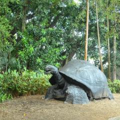 Photo Bot 2021 (69).jpeg The Botanical Garden