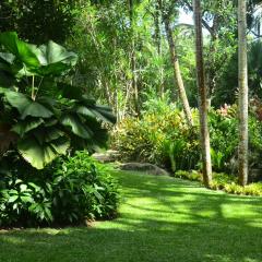 Photo Bot 2021 (71).jpeg The Botanical Garden