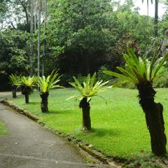 Photo Bot 2021 (84).jpeg The Botanical Garden