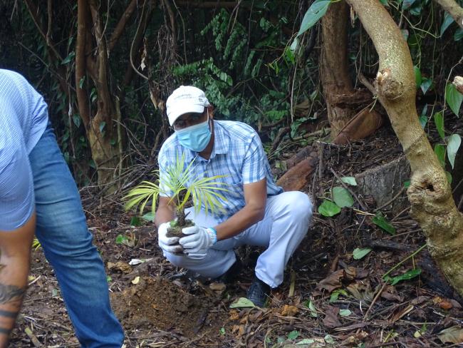 Director of Forestry and National Park, Mr Mougal putting his endemic into the ground