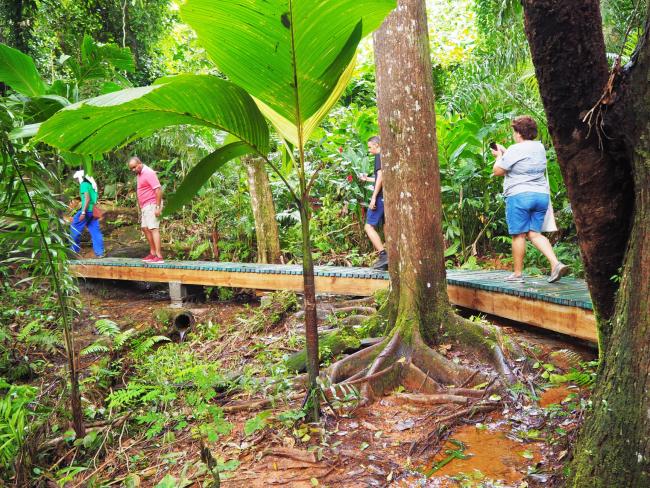 Minister Wallace Cosgrow crossing the new boardwalk at the beginning of the trail