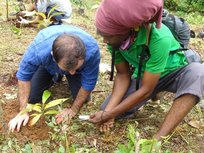 Tree planting activity under the project