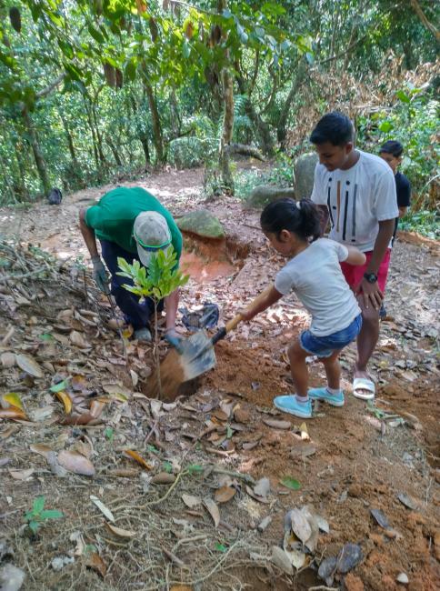 Tree planting