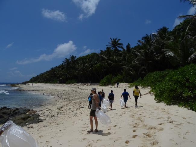 Beach clean-up