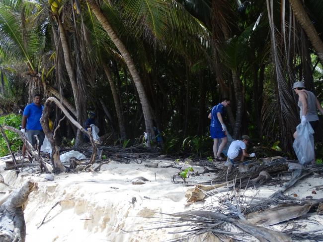 Tourists participating in the clean-up