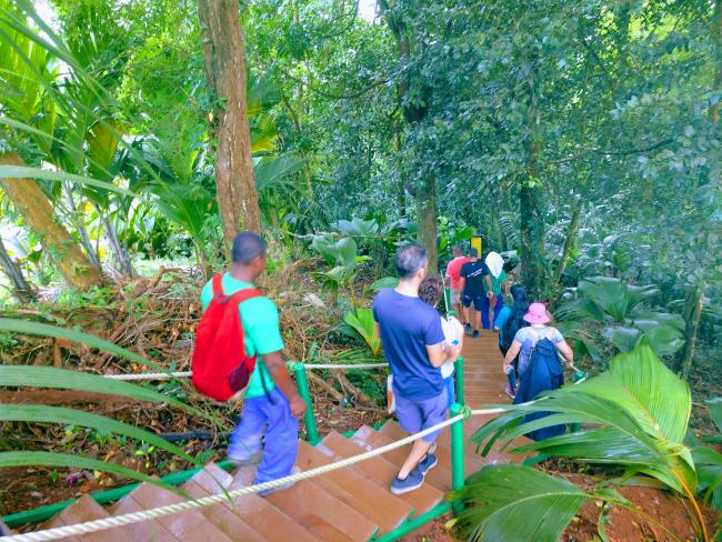 Hikers on the Copolia Trail