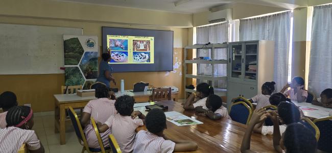 Ms. Louisette Hoareau facilitating the session