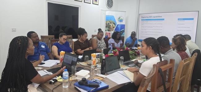 Training in Progress