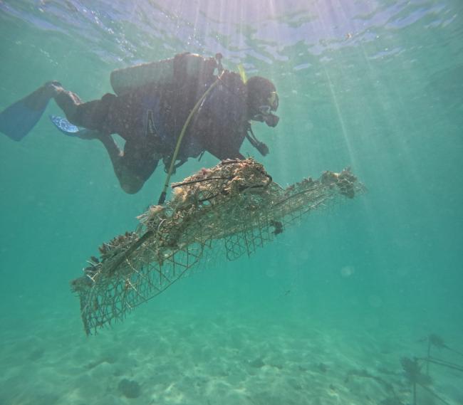 Diver placing the structure on the sea bed