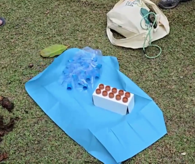 Collected Samples
