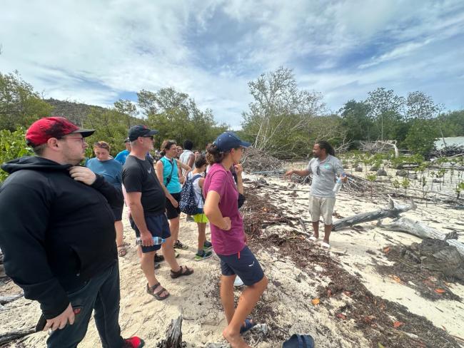 Visit of the Mangroves Forest