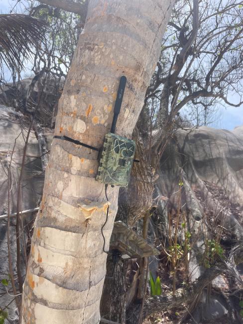AI Camera Trap Setup