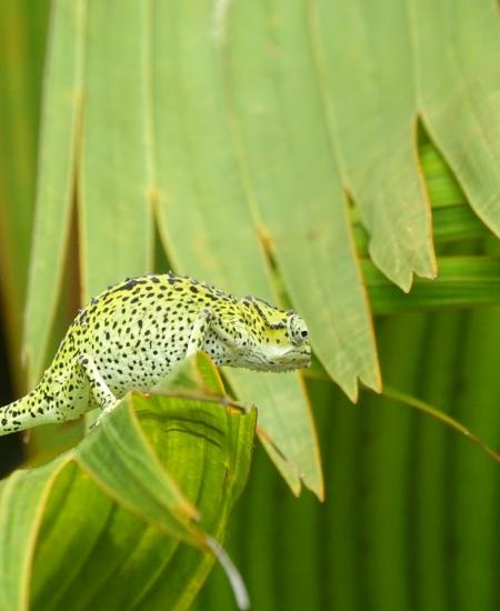 Praslin National Park