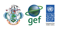 GOS-GEF-UNDP R2R